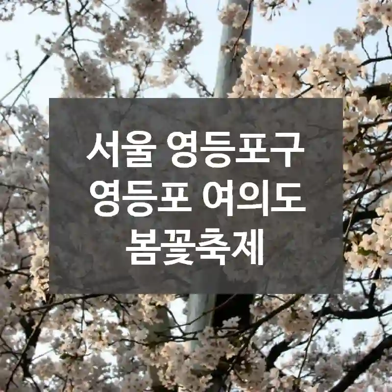 서울 영등포구
영등포 여의도 봄꽃축제