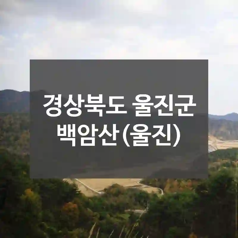 경상북도 울진군
백암산(울진)