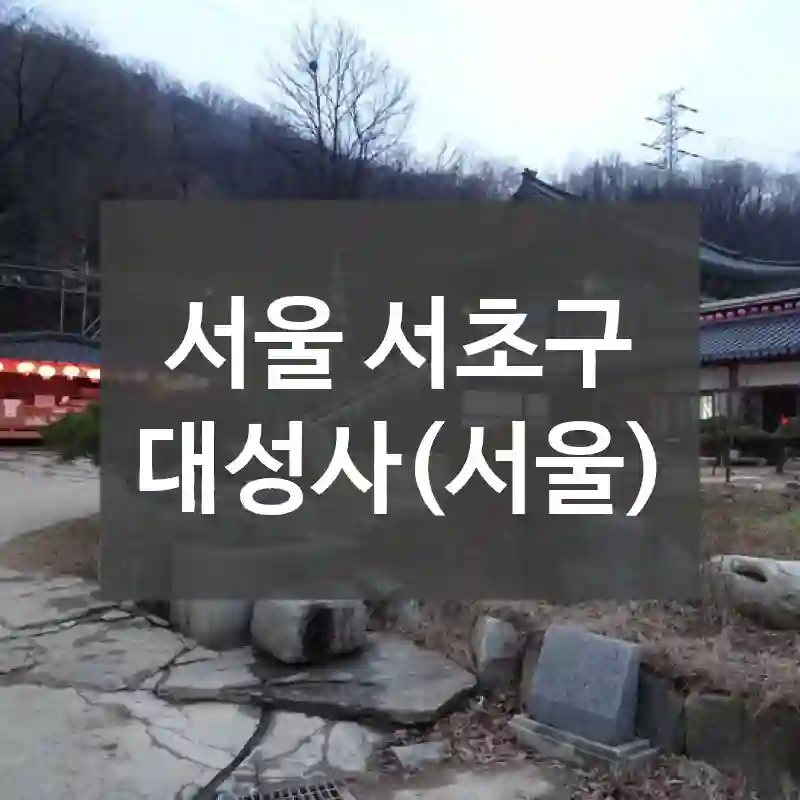 서울 서초구
대성사(서울)