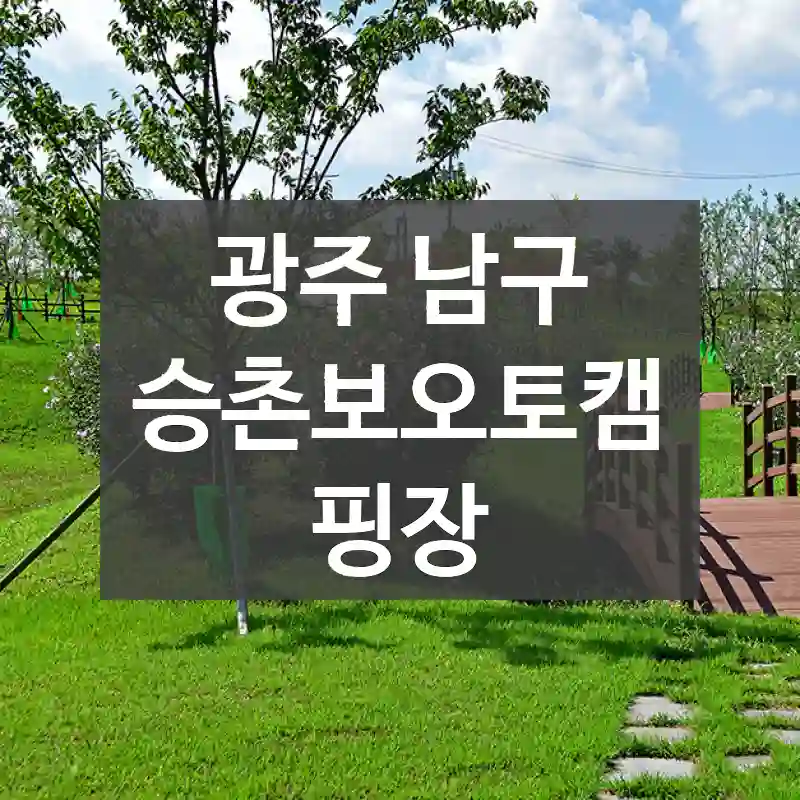 광주 남구
승촌보오토캠핑장
