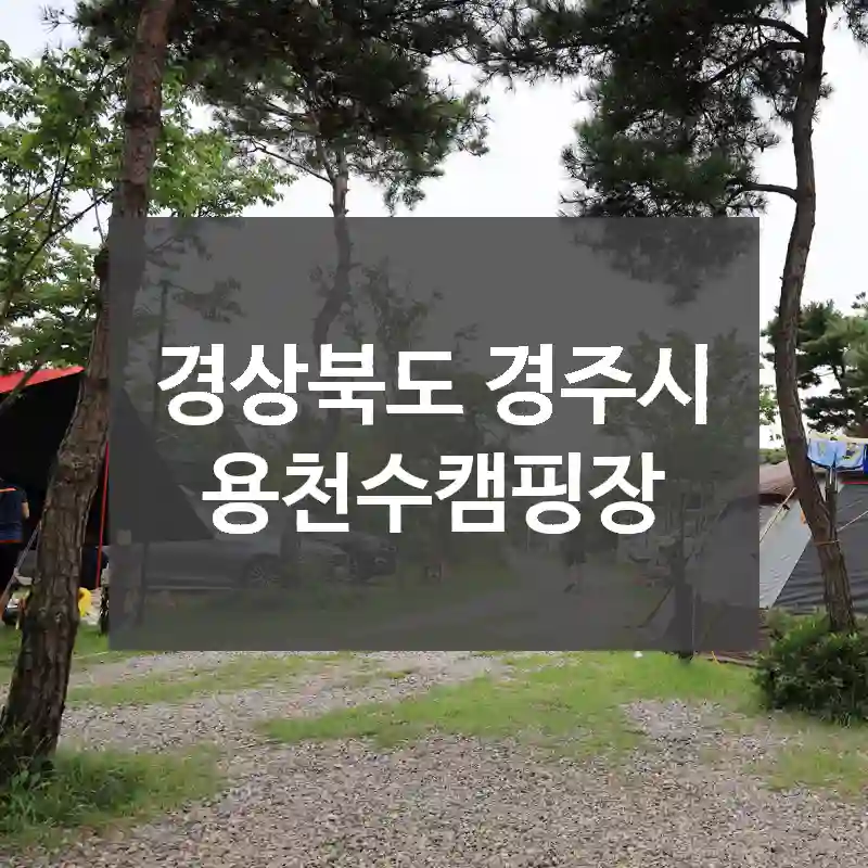 경상북도 경주시
용천수캠핑장