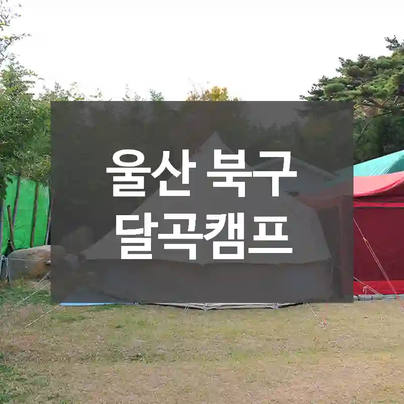 울산 북구
달곡캠프