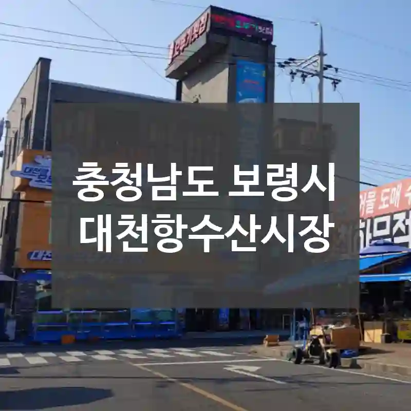 충청남도 보령시
대천항수산시장