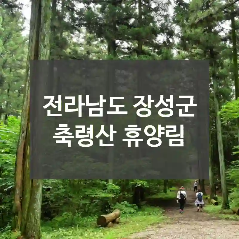 전라남도 장성군
축령산 휴양림