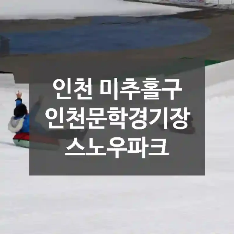 인천 미추홀구
인천문학경기장 스노우파크