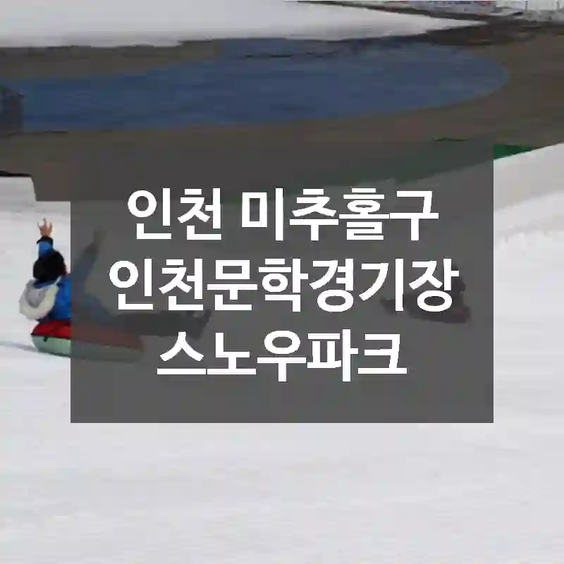 인천 미추홀구
인천문학경기장 스노우파크