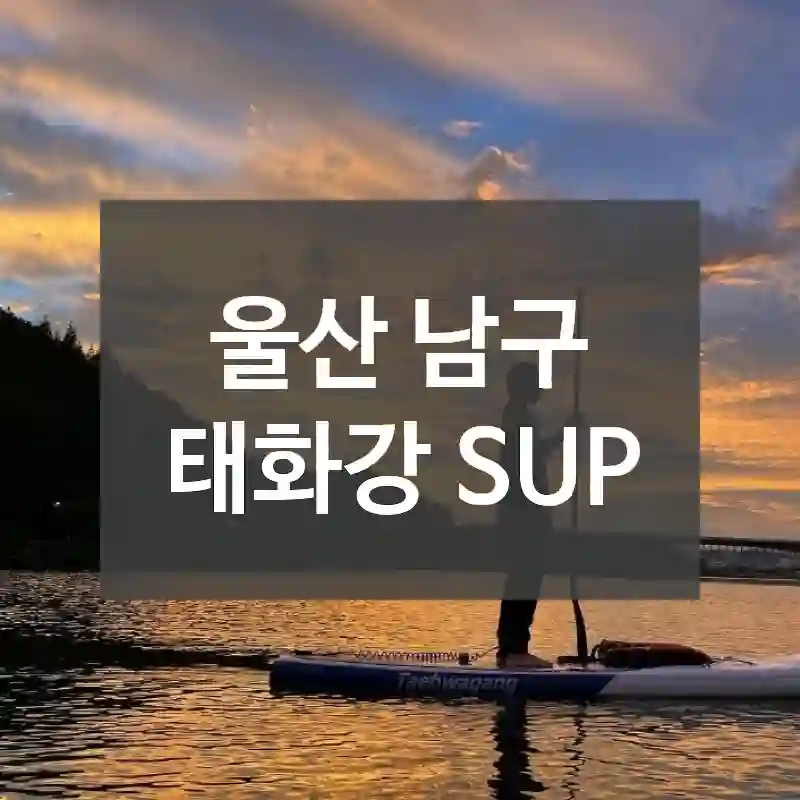 울산 남구
태화강 SUP