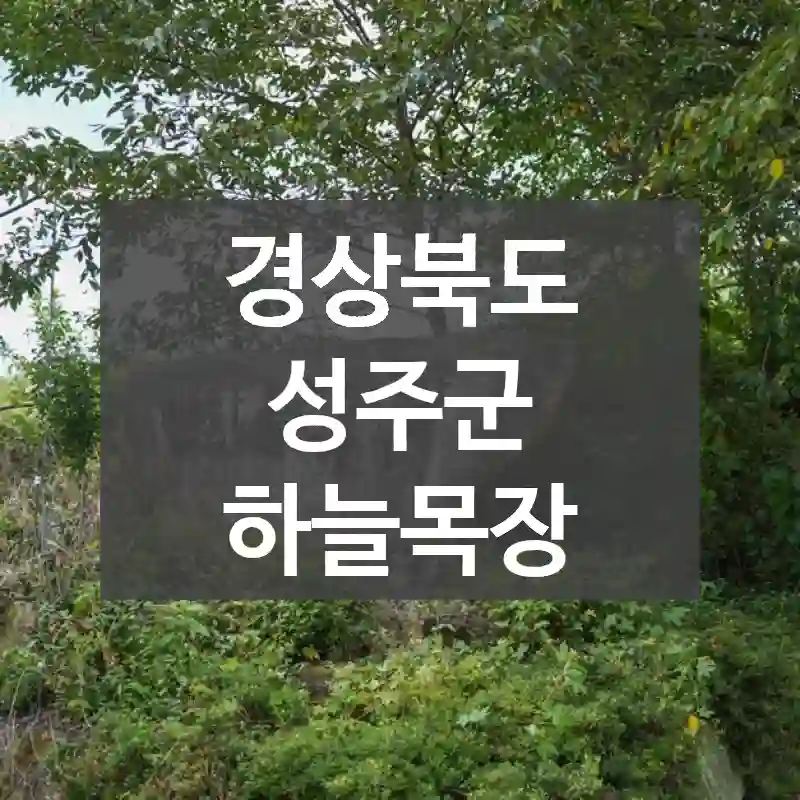 경상북도 성주군
하늘목장