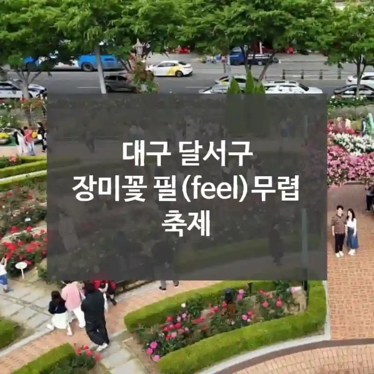 대구 달서구
장미꽃 필(feel)무렵 축제