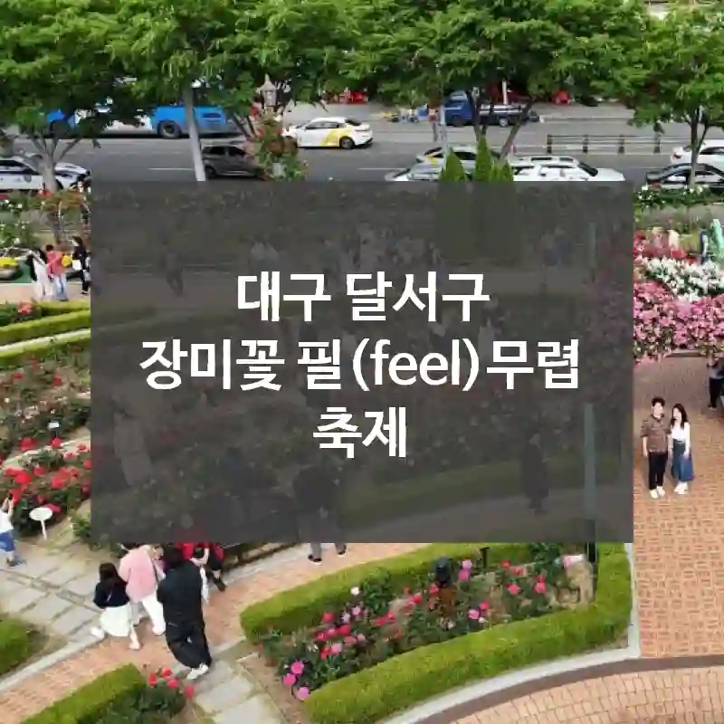 대구 달서구
장미꽃 필(feel)무렵 축제