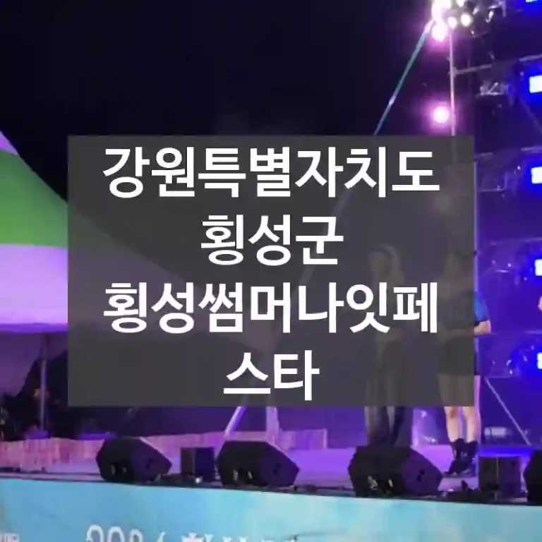 강원특별자치도 횡성군
횡성썸머나잇페스타