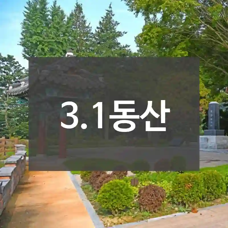 3.1동산