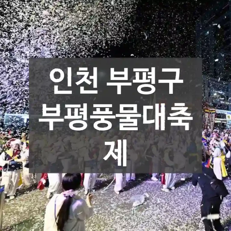 인천 부평구
부평풍물대축제