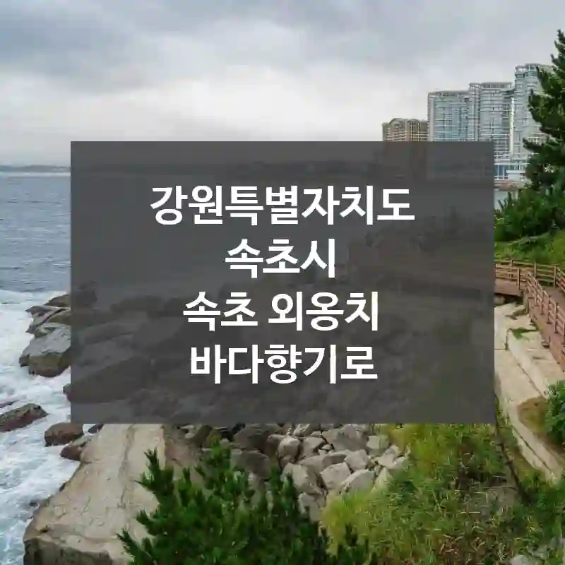 강원특별자치도 속초시
속초 외옹치 바다향기로