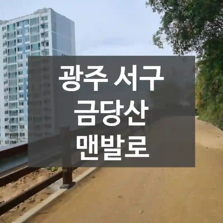 광주 서구
금당산 맨발로