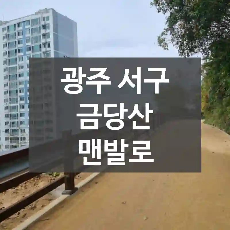광주 서구
금당산 맨발로