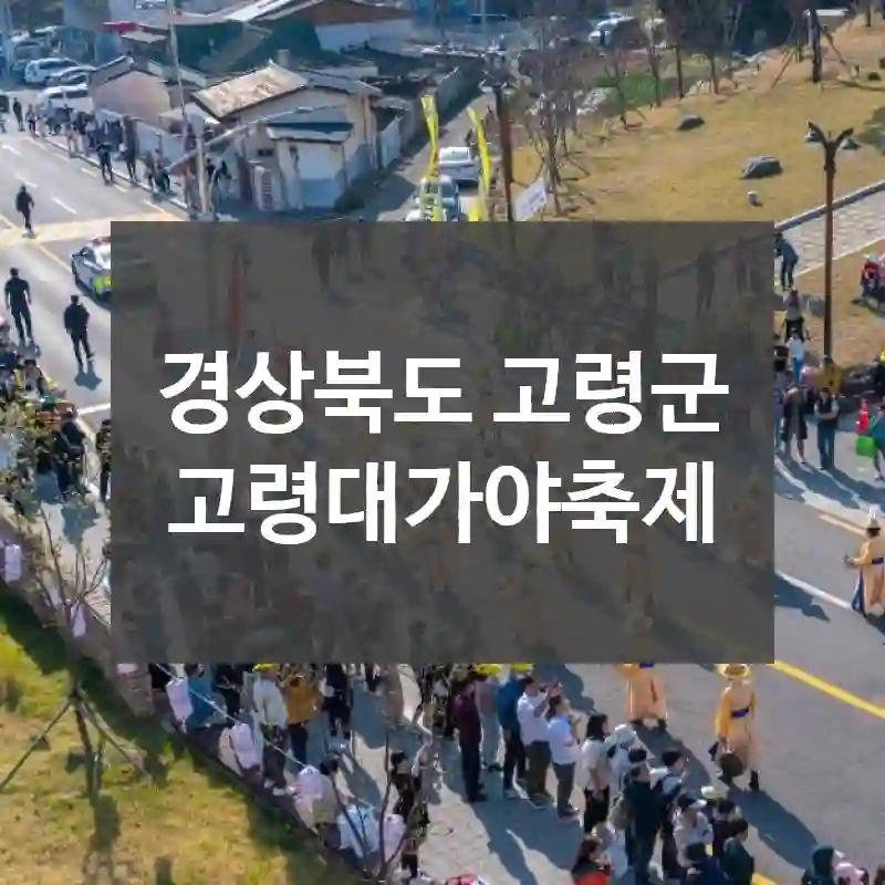 경상북도 고령군
고령대가야축제
