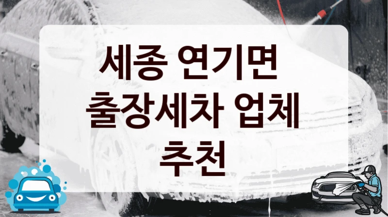 세종 연기면 
출장세차 업체 추천