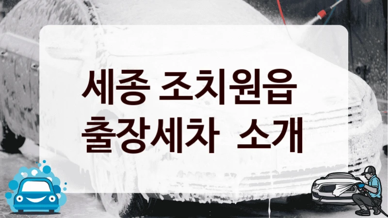 세종 조치원읍 
출장세차  소개