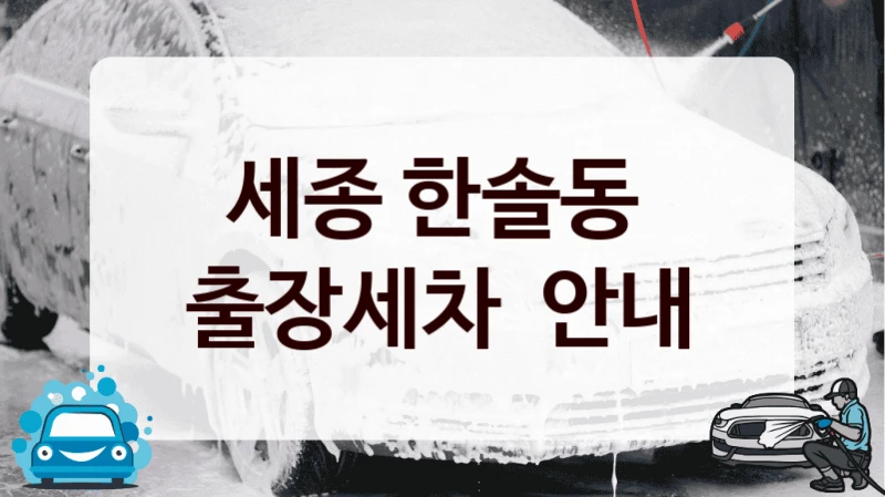 세종 한솔동 
출장세차  안내