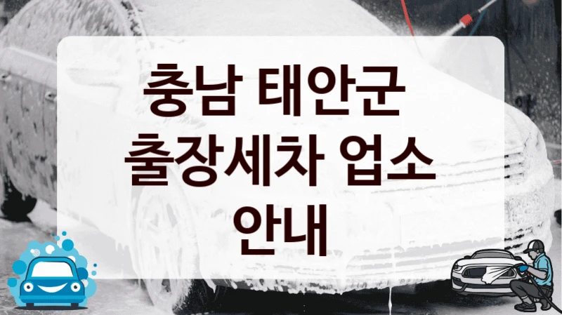 충남 태안군 
출장세차 업소 안내
