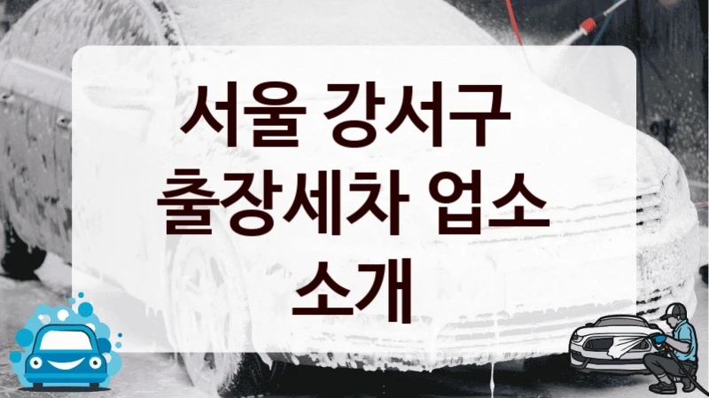 서울 강서구 
출장세차 업소 소개