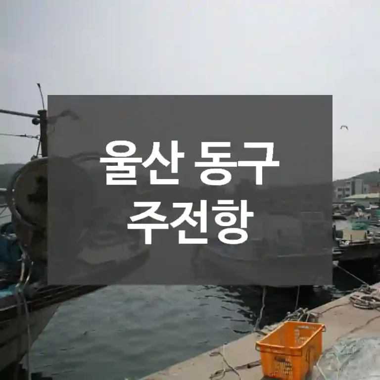 울산 동구
주전항