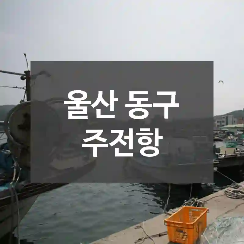 울산 동구
주전항