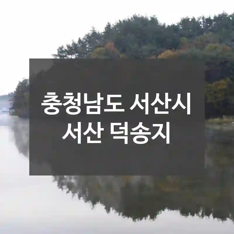 충청남도 서산시
서산 덕송지
