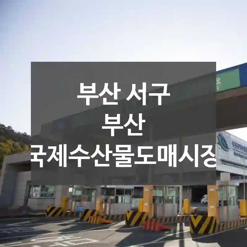 부산 서구
부산 국제수산물도매시장