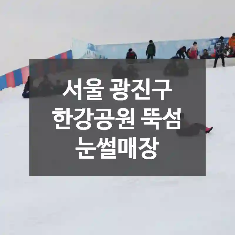 서울 광진구
한강공원 뚝섬 눈썰매장