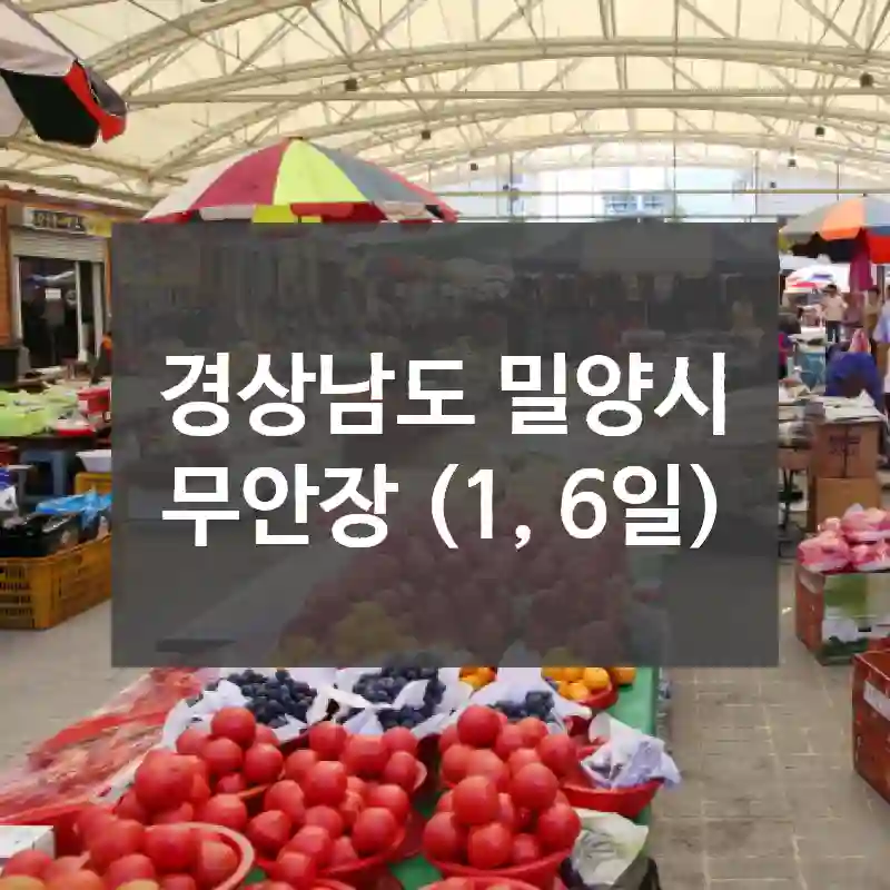 경상남도 밀양시
무안장 (1, 6일)