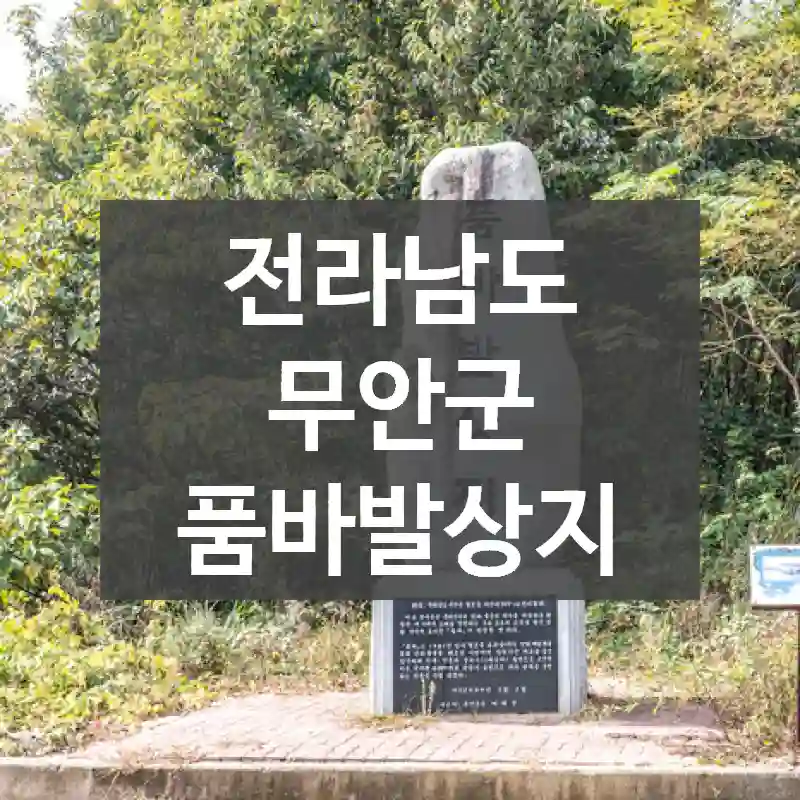 전라남도 무안군
품바발상지