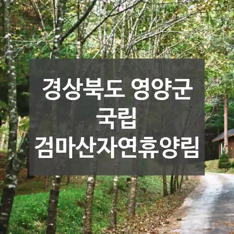 경상북도 영양군
국립 검마산자연휴양림
