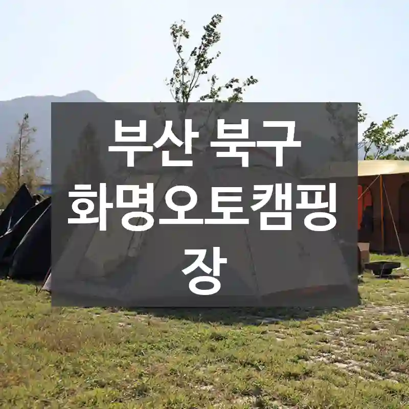 부산 북구
화명오토캠핑장