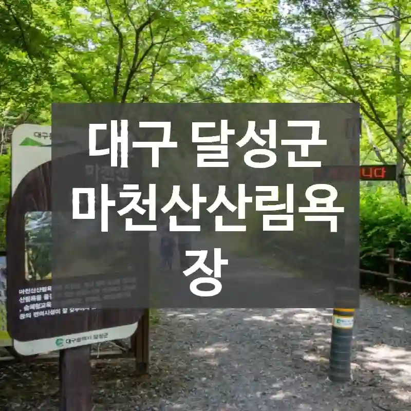 대구 달성군
마천산산림욕장