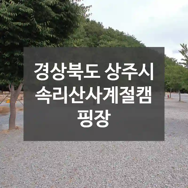 경상북도 상주시
속리산사계절캠핑장