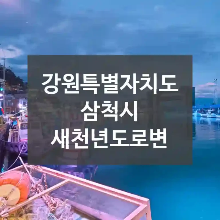 강원특별자치도 삼척시
새천년도로변