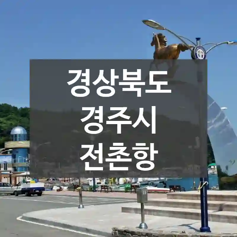 경상북도 경주시
전촌항
