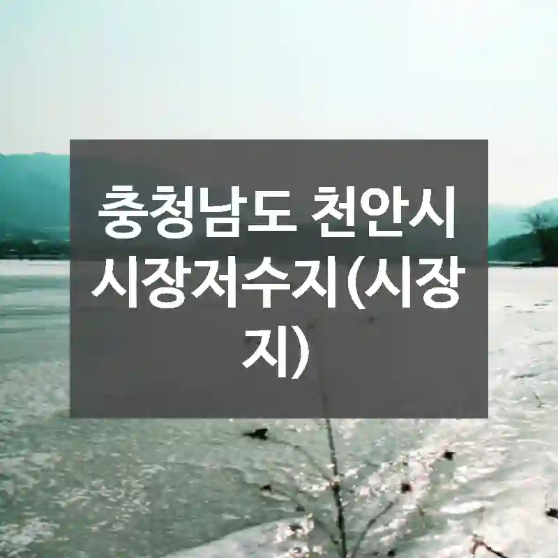 충청남도 천안시
시장저수지(시장지)