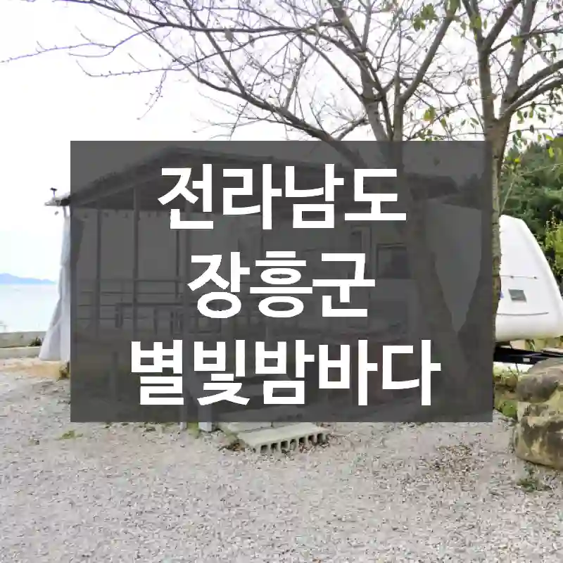 전라남도 장흥군
별빛밤바다