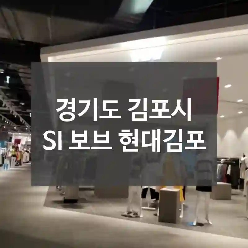 경기도 김포시
SI 보브 현대김포