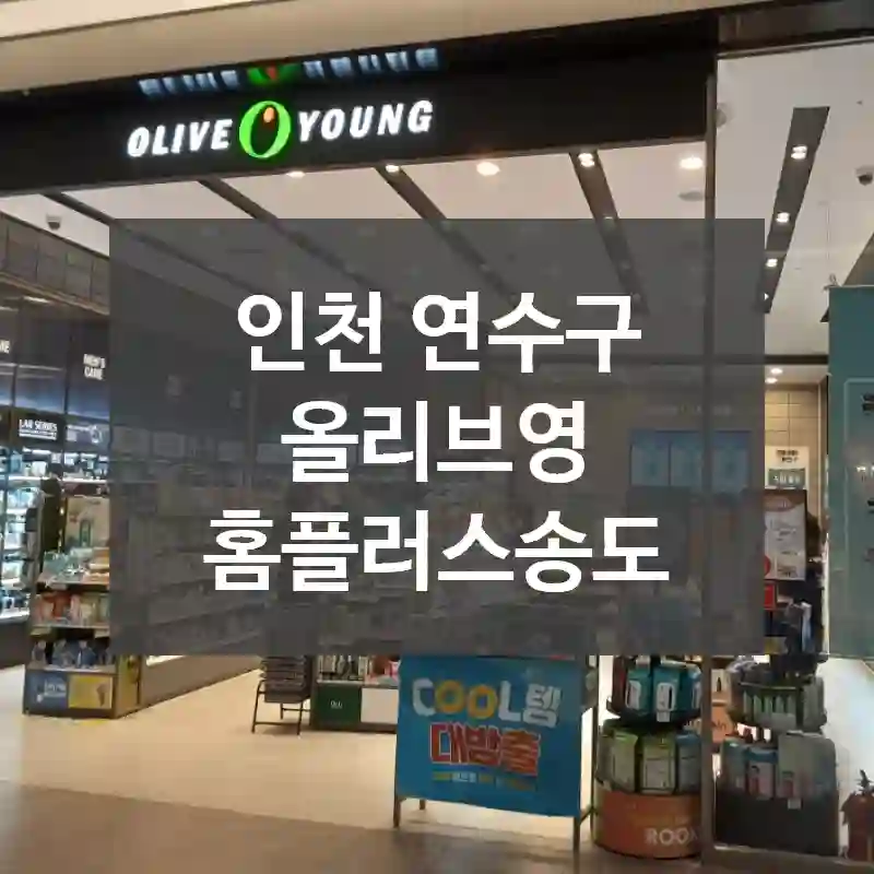 인천 연수구
올리브영 홈플러스송도