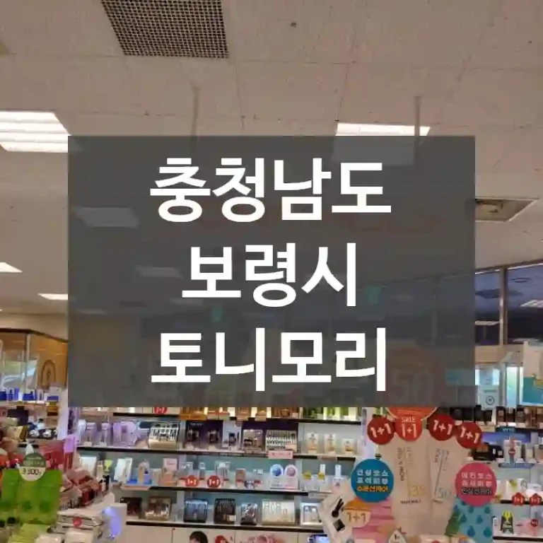 충청남도 보령시
토니모리