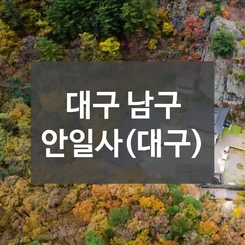 대구 남구
안일사(대구)