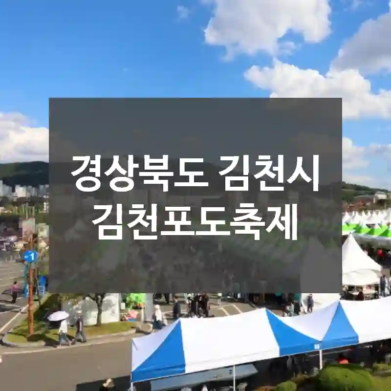 경상북도 김천시
김천포도축제