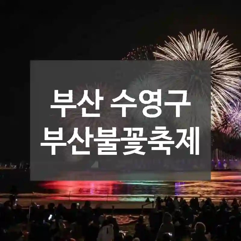 부산 수영구
부산불꽃축제