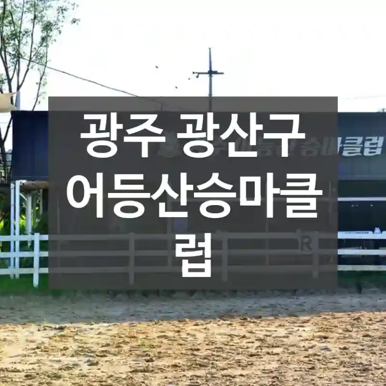 광주 광산구
어등산승마클럽