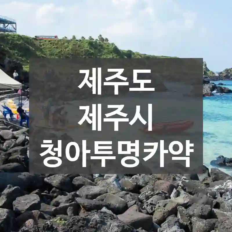 제주도 제주시
청아투명카약
