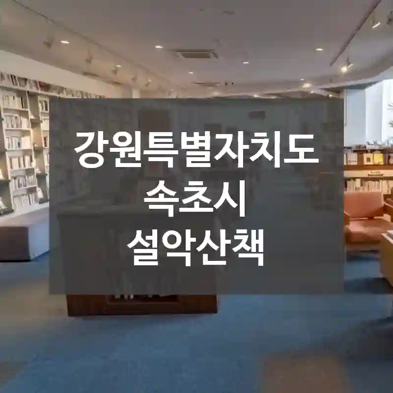 강원특별자치도 속초시
설악산책